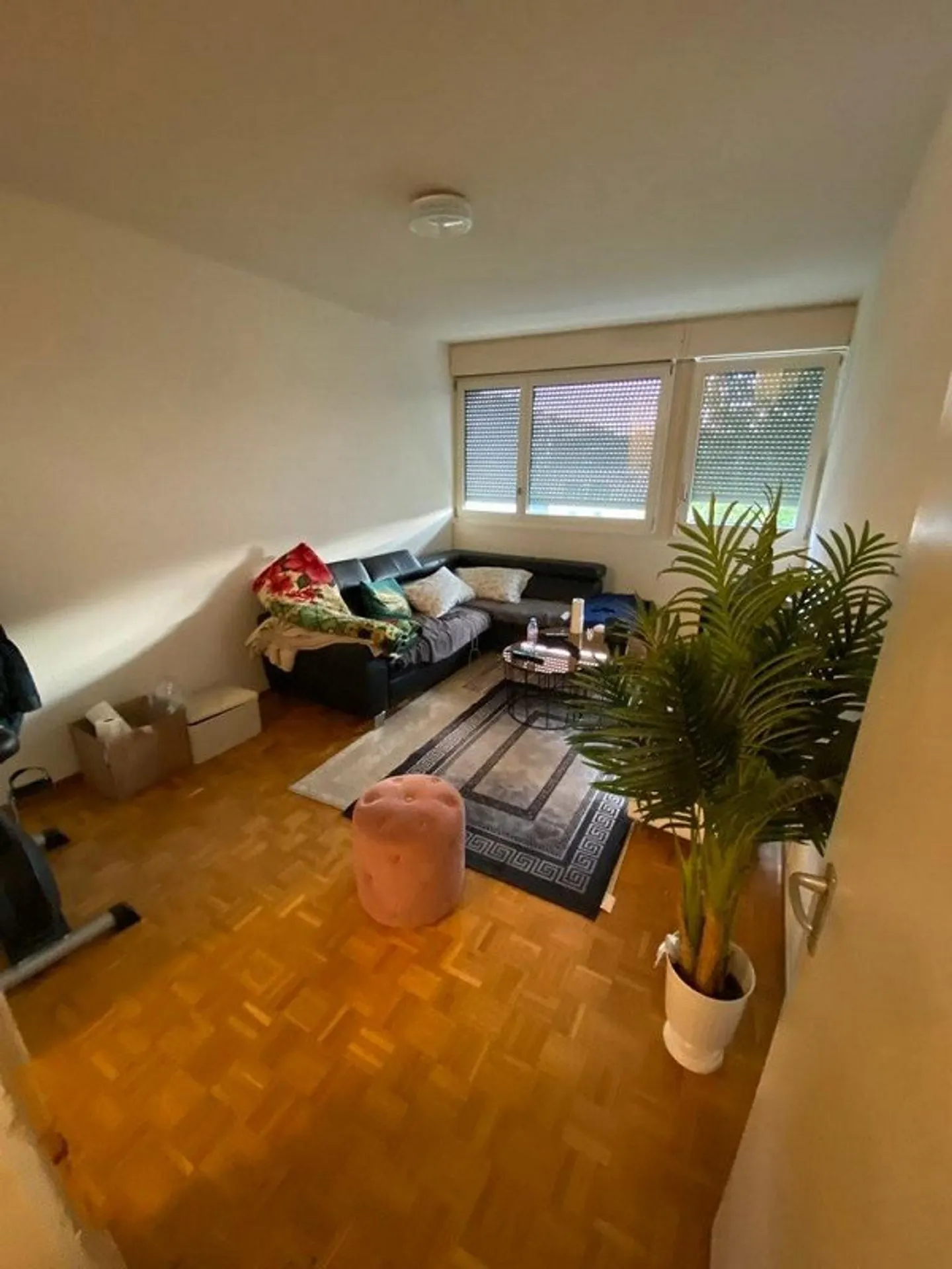 To seize! Magnificent studio ideally located in Vernier! - Photo 3 of 5