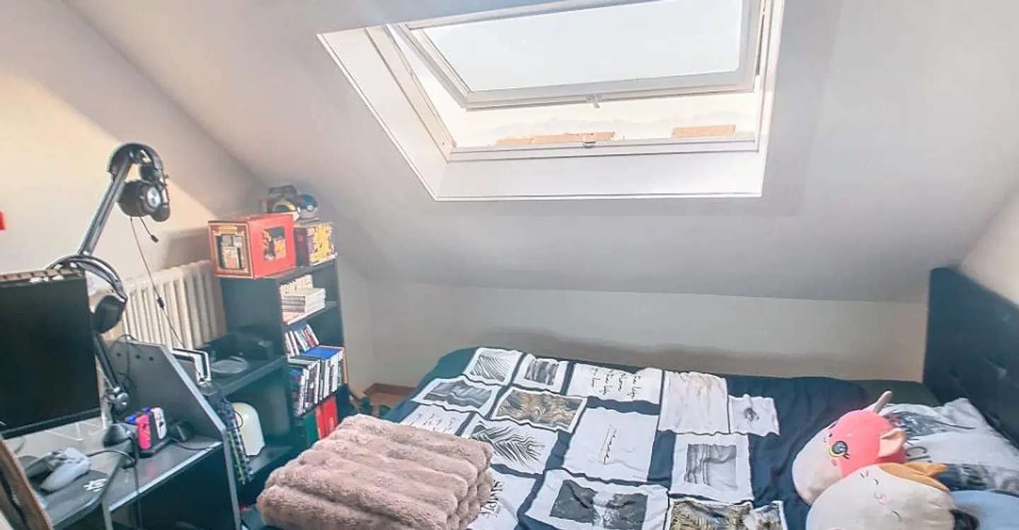 Bright apartment in the heart of Rolle - Photo 6 of 7