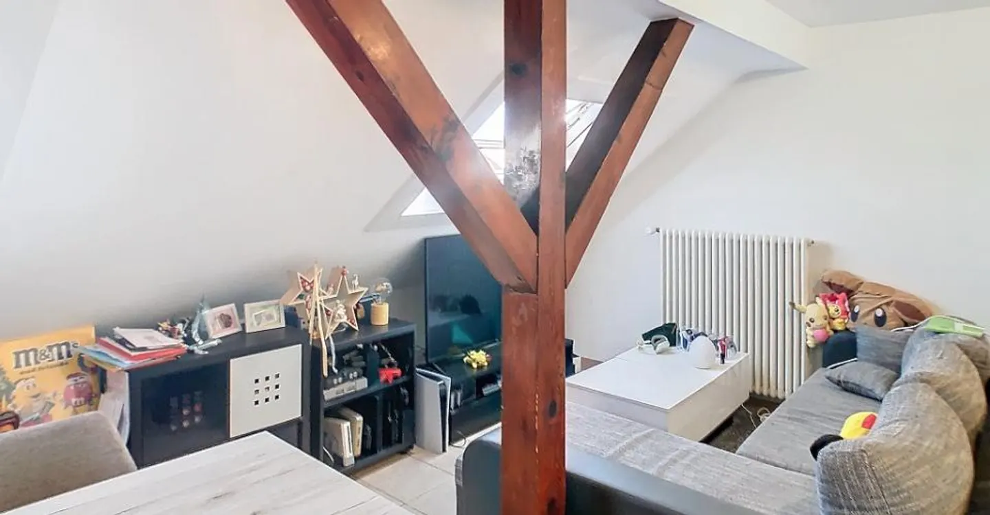 Bright apartment in the heart of Rolle - Photo 4 of 7