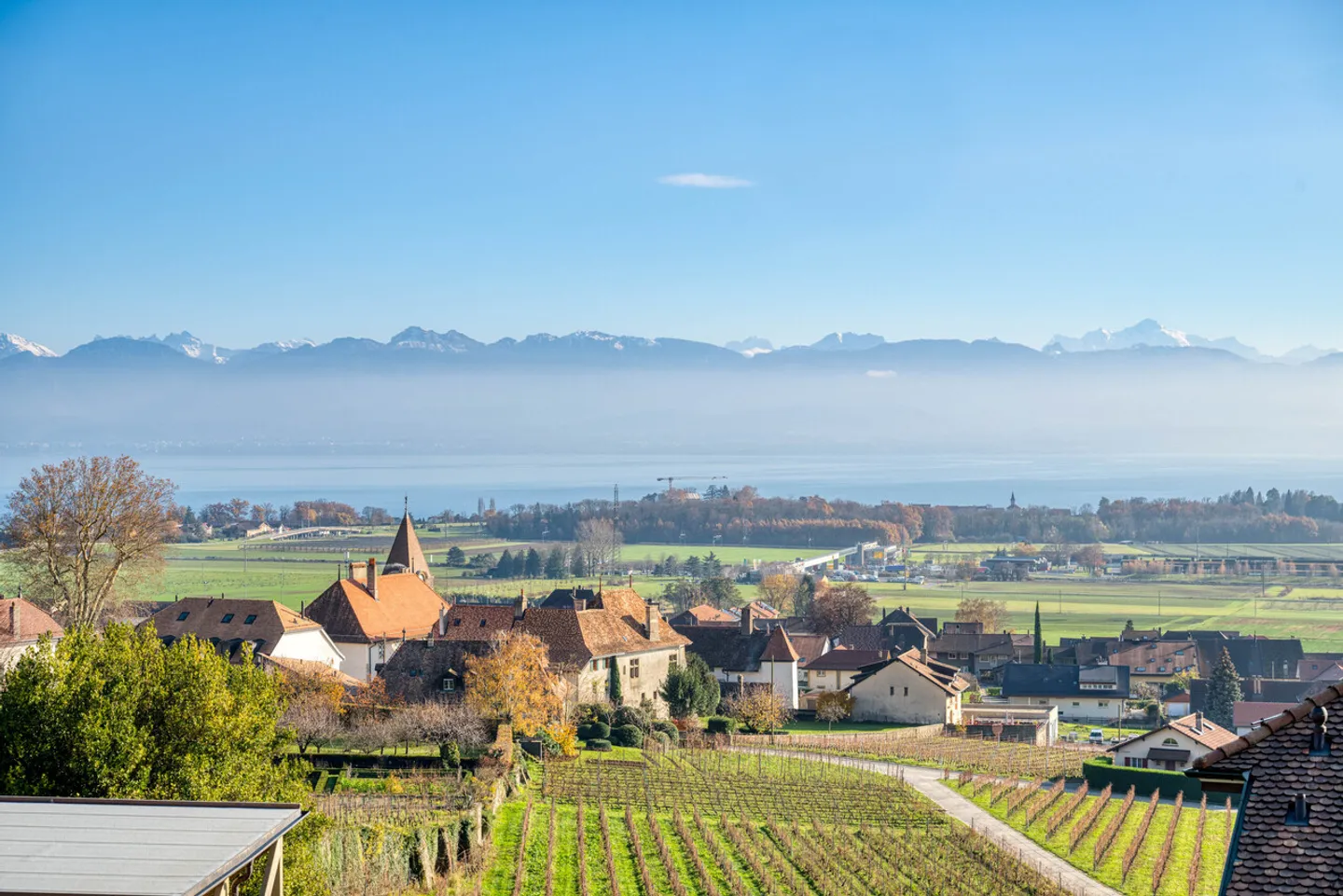 Außergewöhnliche Lage zwischen Weinbergen und See, Villa zu renovieren! - Foto 1 von 11