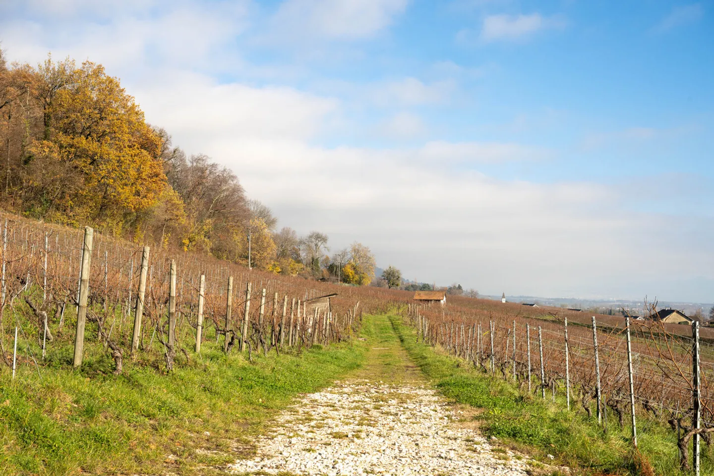 Außergewöhnliche Lage zwischen Weinbergen und See, Villa zu renovieren! - Foto 9 von 11