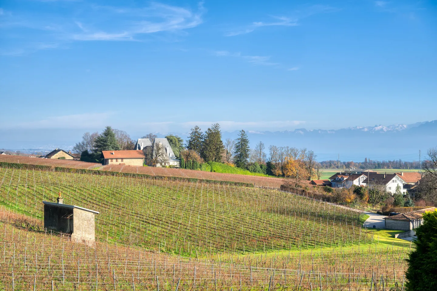 Außergewöhnliche Lage zwischen Weinbergen und See, Villa zu renovieren! - Foto 10 von 11