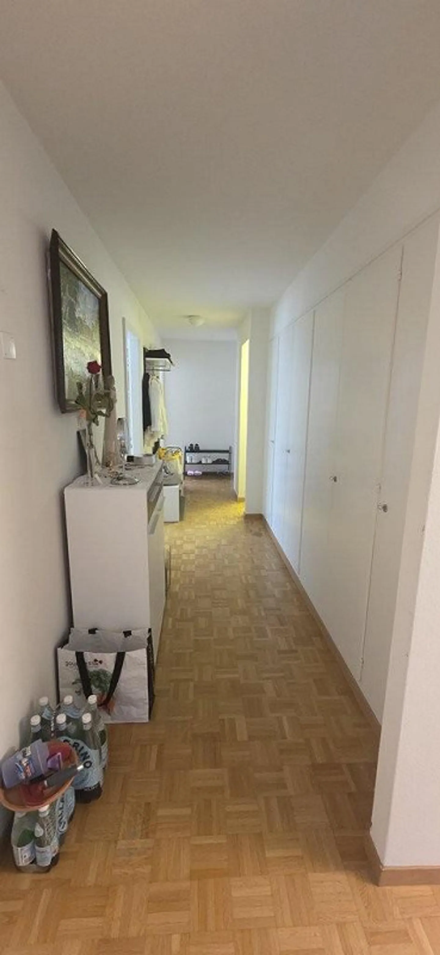 Appartement ensoleillé et nouvellement peint dans le district 10 de Zurich - Photo 2 sur 6