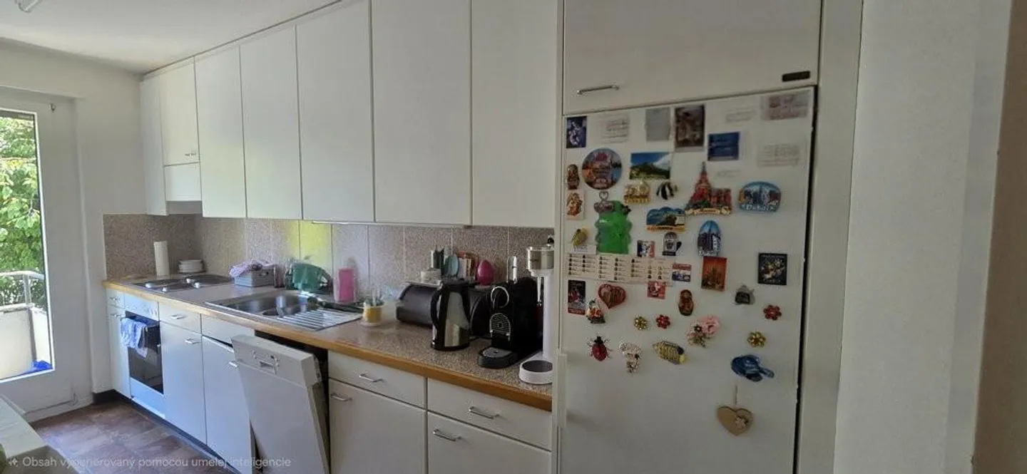 Appartement ensoleillé et nouvellement peint dans le district 10 de Zurich - Photo 3 sur 6