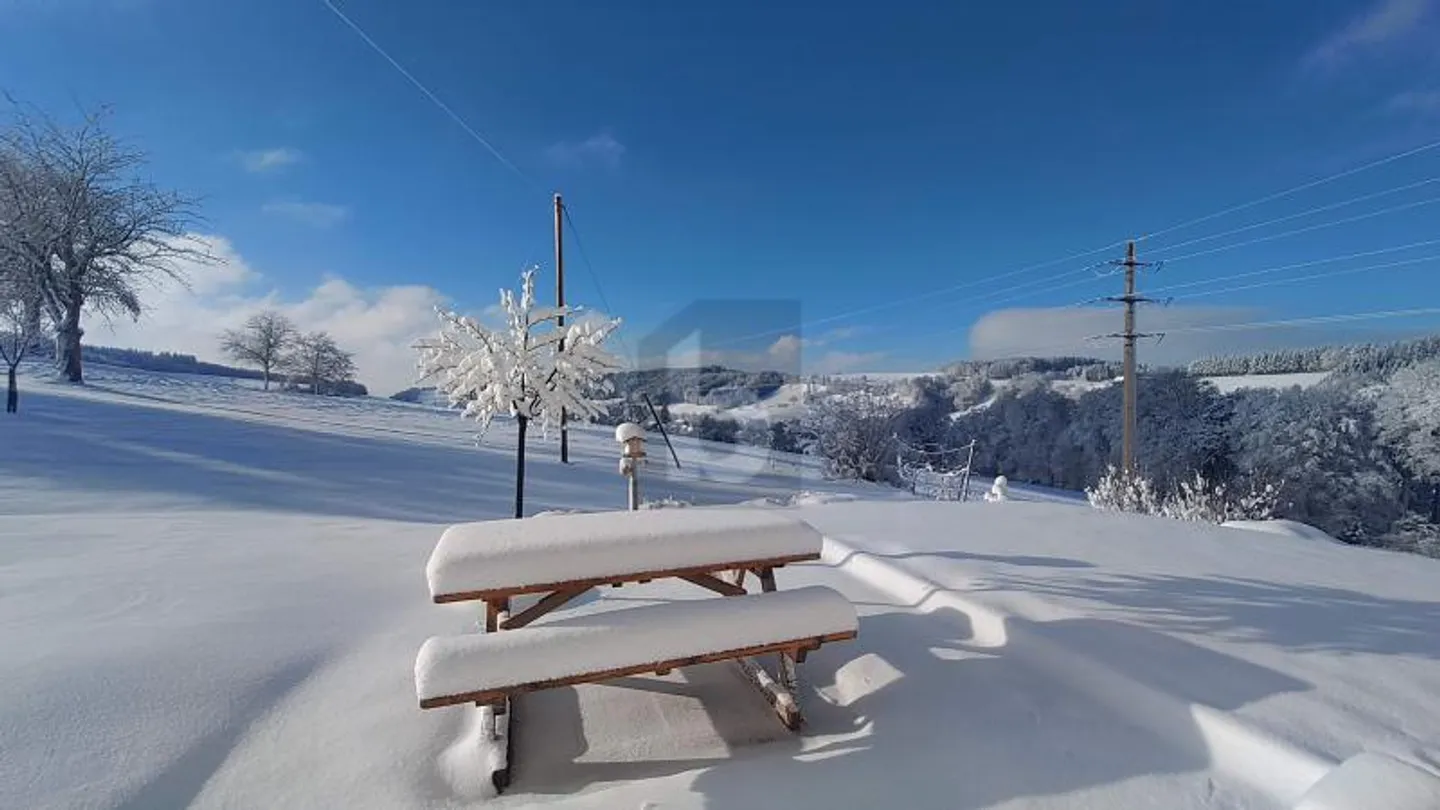 RARE: LARGE RENOVATED FARM, BRIGHT AND QUIET - Photo 5 of 6