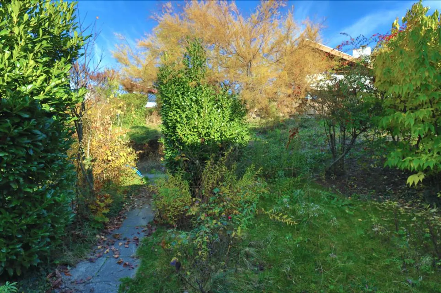 Individual villa in a green setting at the gates of Lausanne - Photo 36 of 48