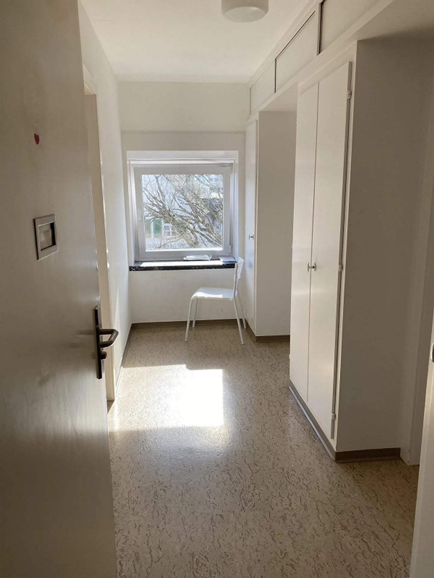 Helle 1-Zimmerwohnung an bester Lage in Roggwil - Foto 3 von 5
