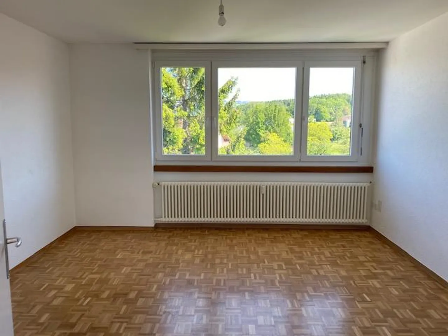 Helle 1-Zimmerwohnung an bester Lage in Roggwil - Foto 5 von 5