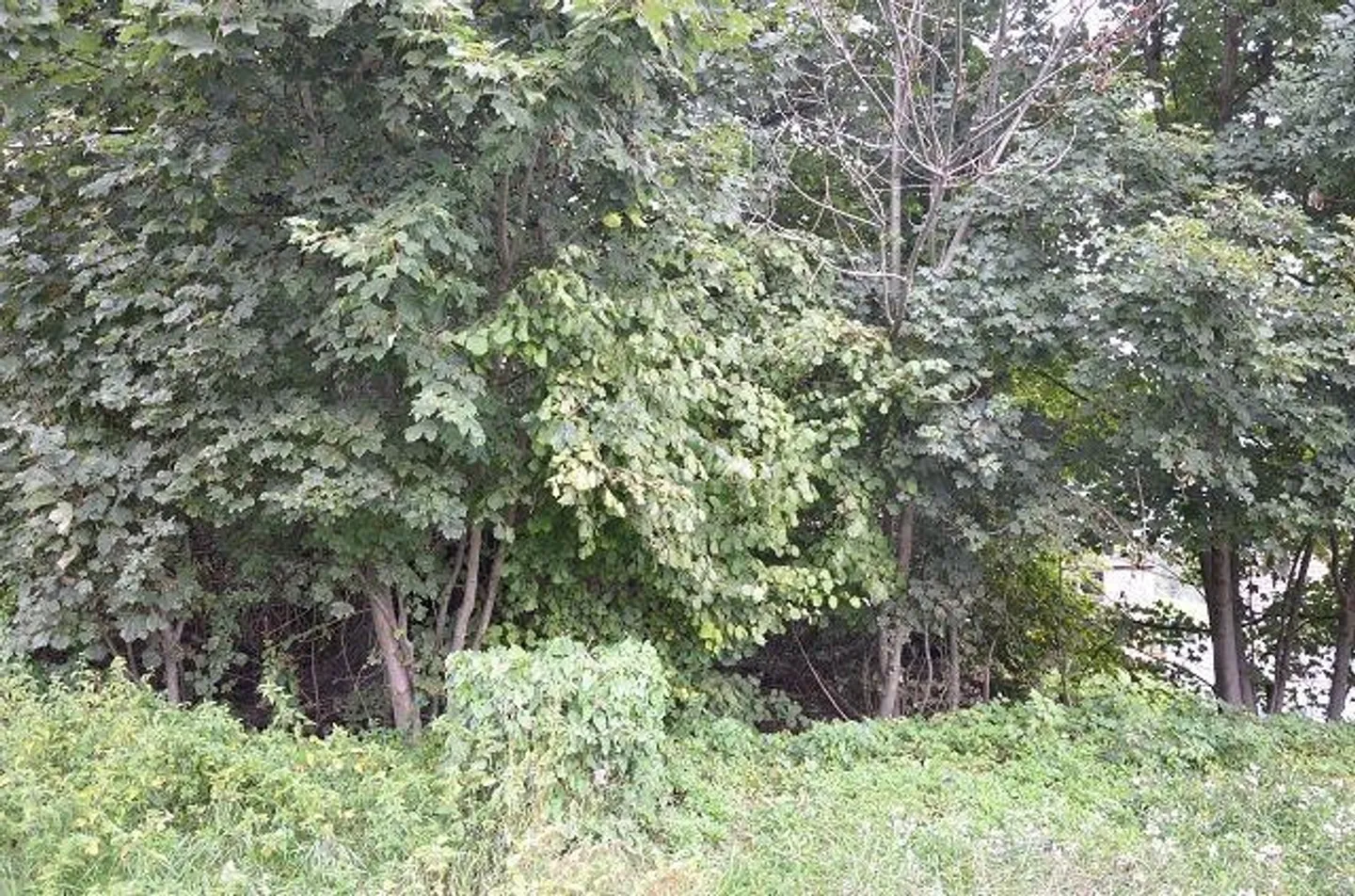 Casa familiare affascinante - Foto 8 di 13