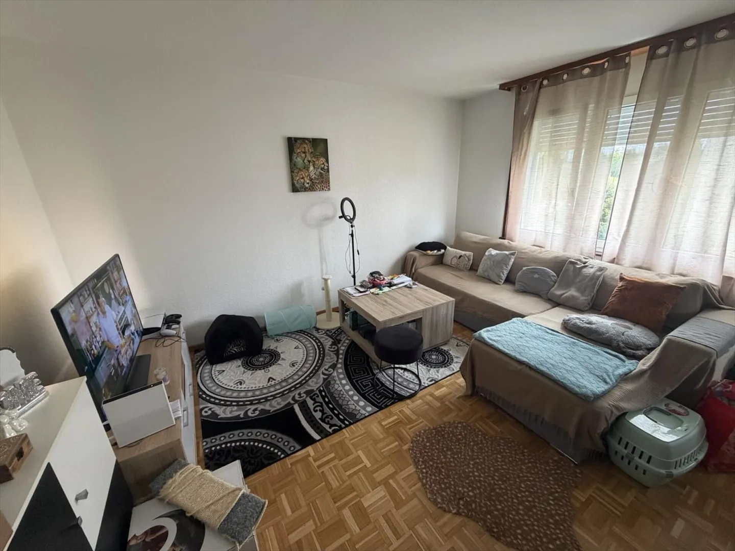 Appartamento di due e mezzo locali in un quartiere tranquillo - Foto 2 di 8