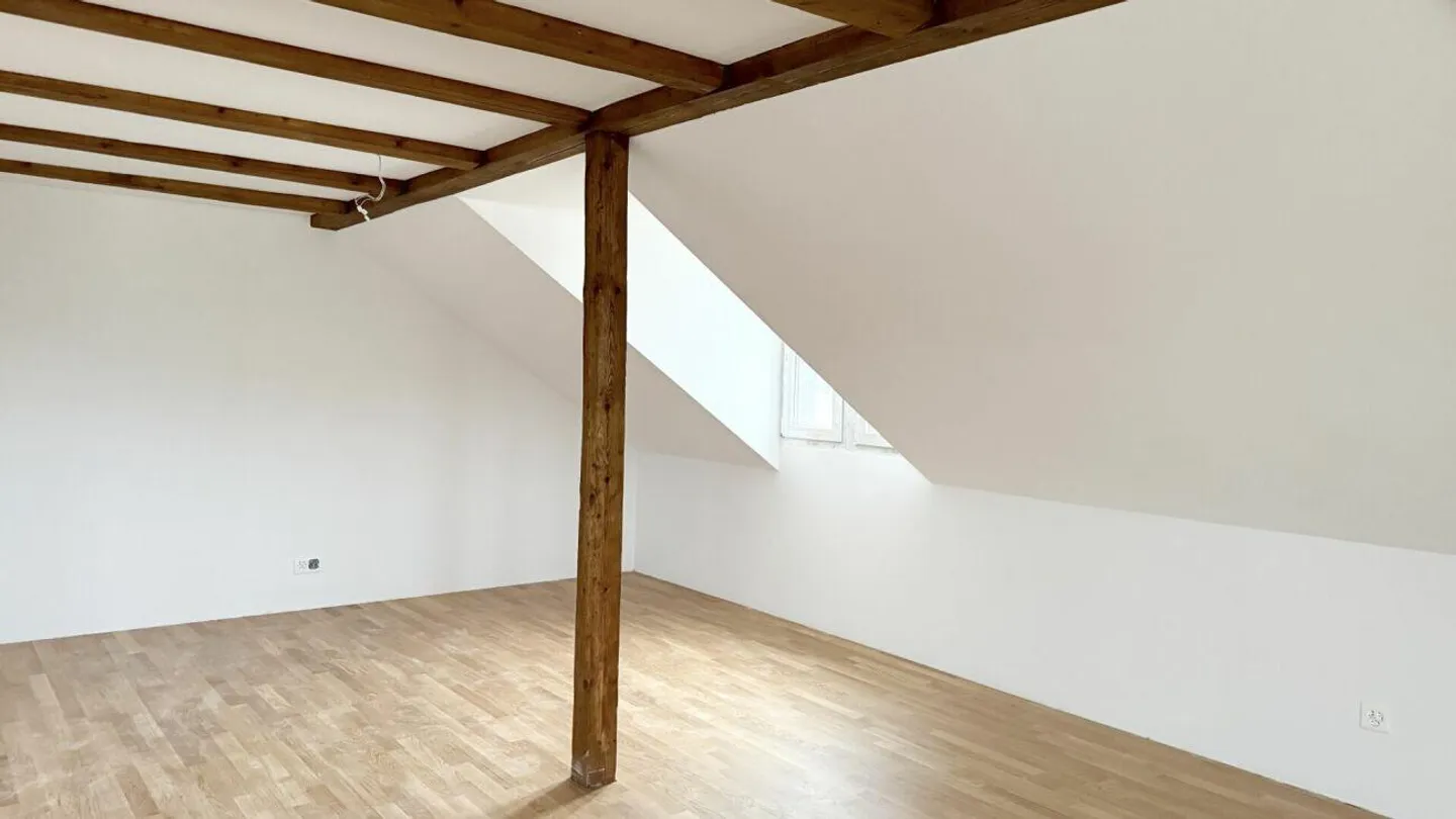 Appartamento 2.5 stanze appena ristrutturato - Foto 3 di 5