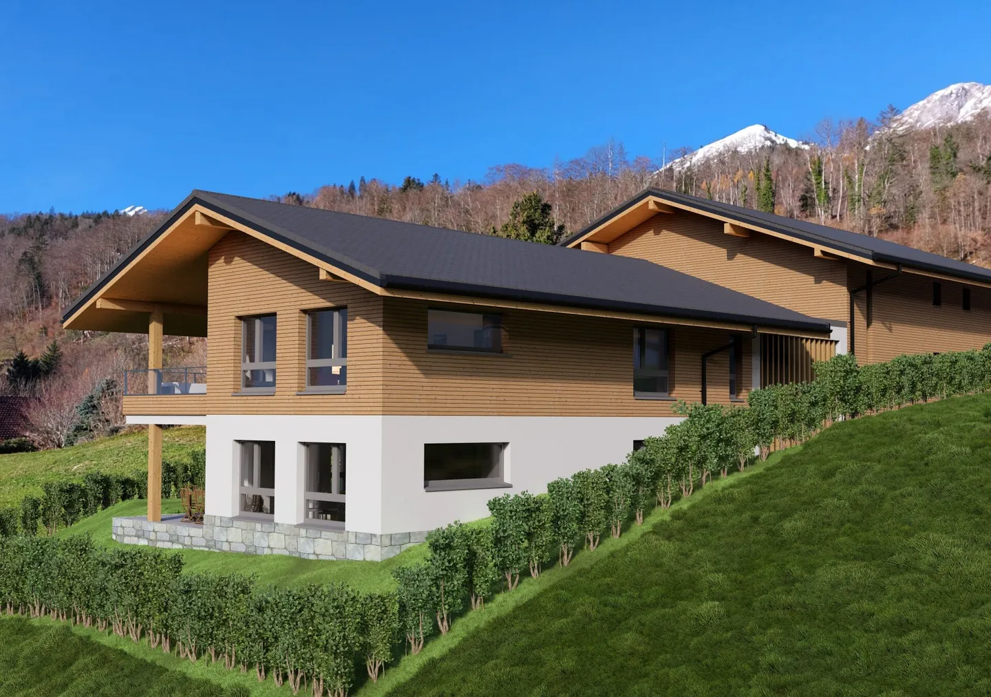 A0 - Nuovo appartamento di 2,5 stanze al piano terra a Sciernes d'Albeuve - Foto 3 di 10