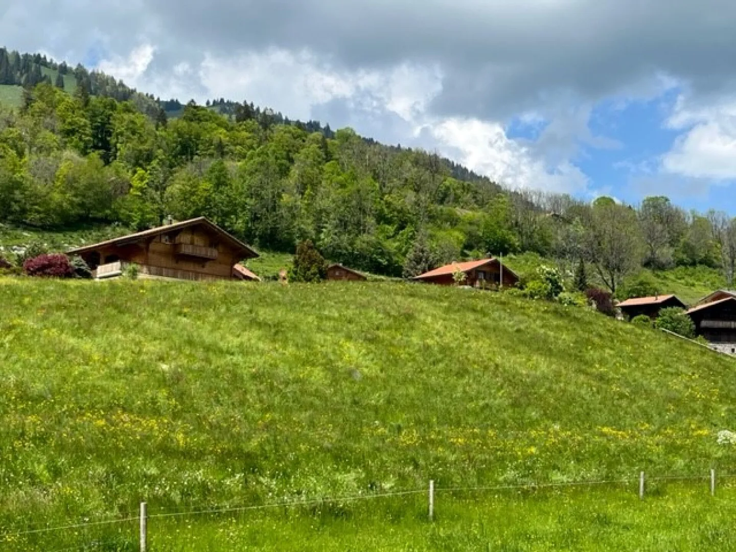 A0 - Nuovo appartamento di 2,5 stanze al piano terra a Sciernes d'Albeuve - Foto 6 di 10