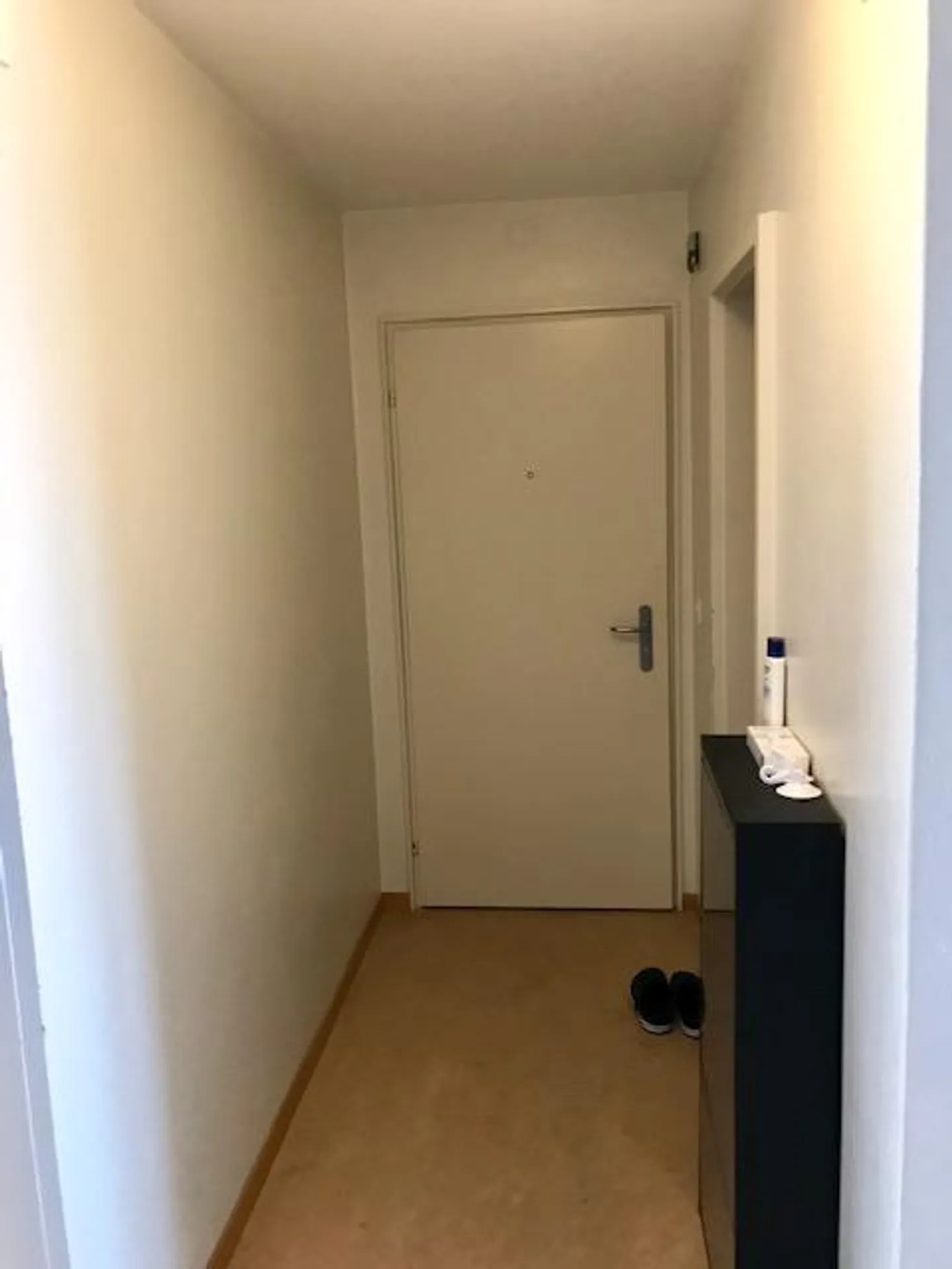 1.5 Room Apartment - Photo 4 of 6