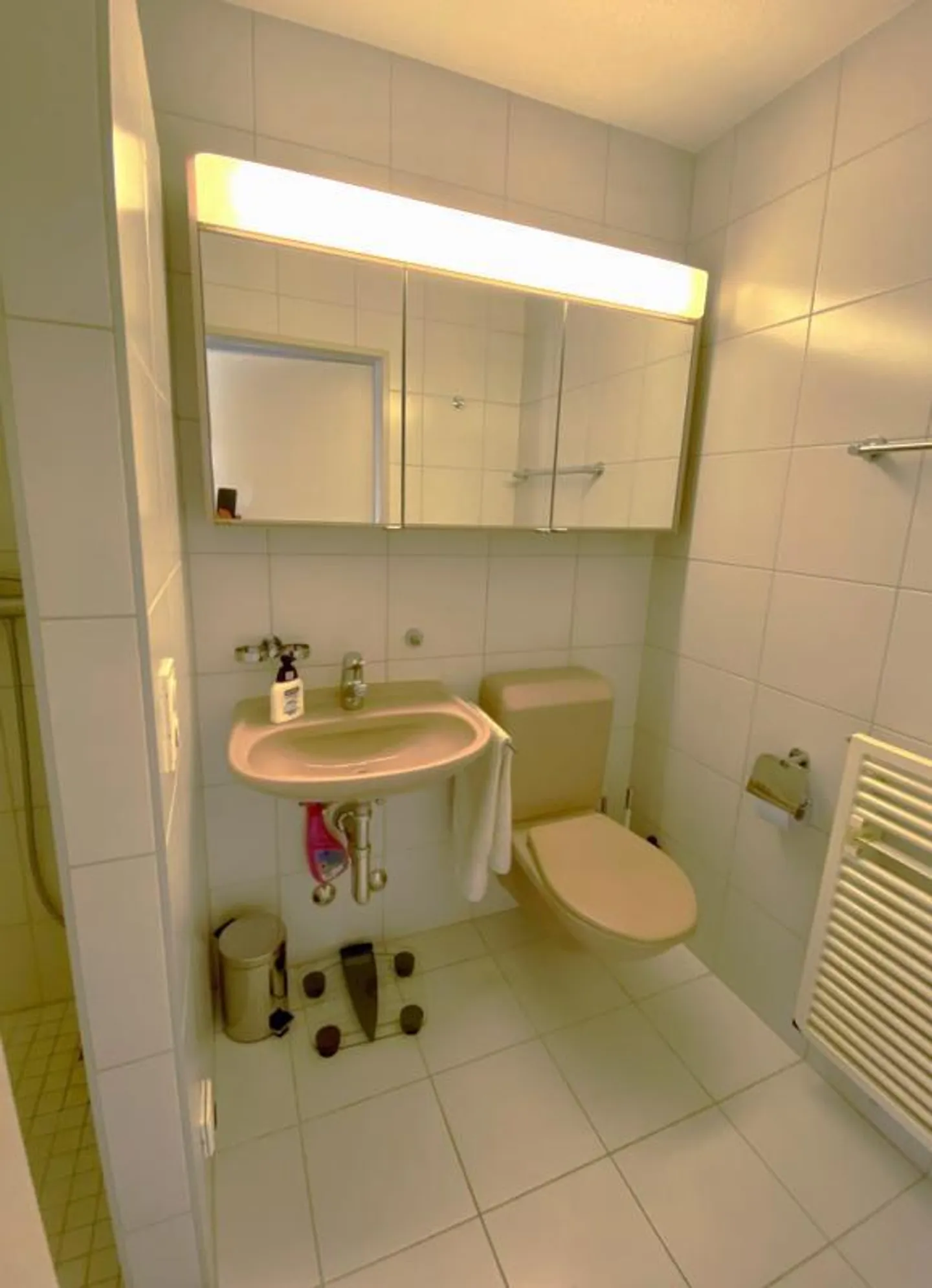 Light-Filled Apartment in Watt (Regensdorf) - Photo 5 of 6