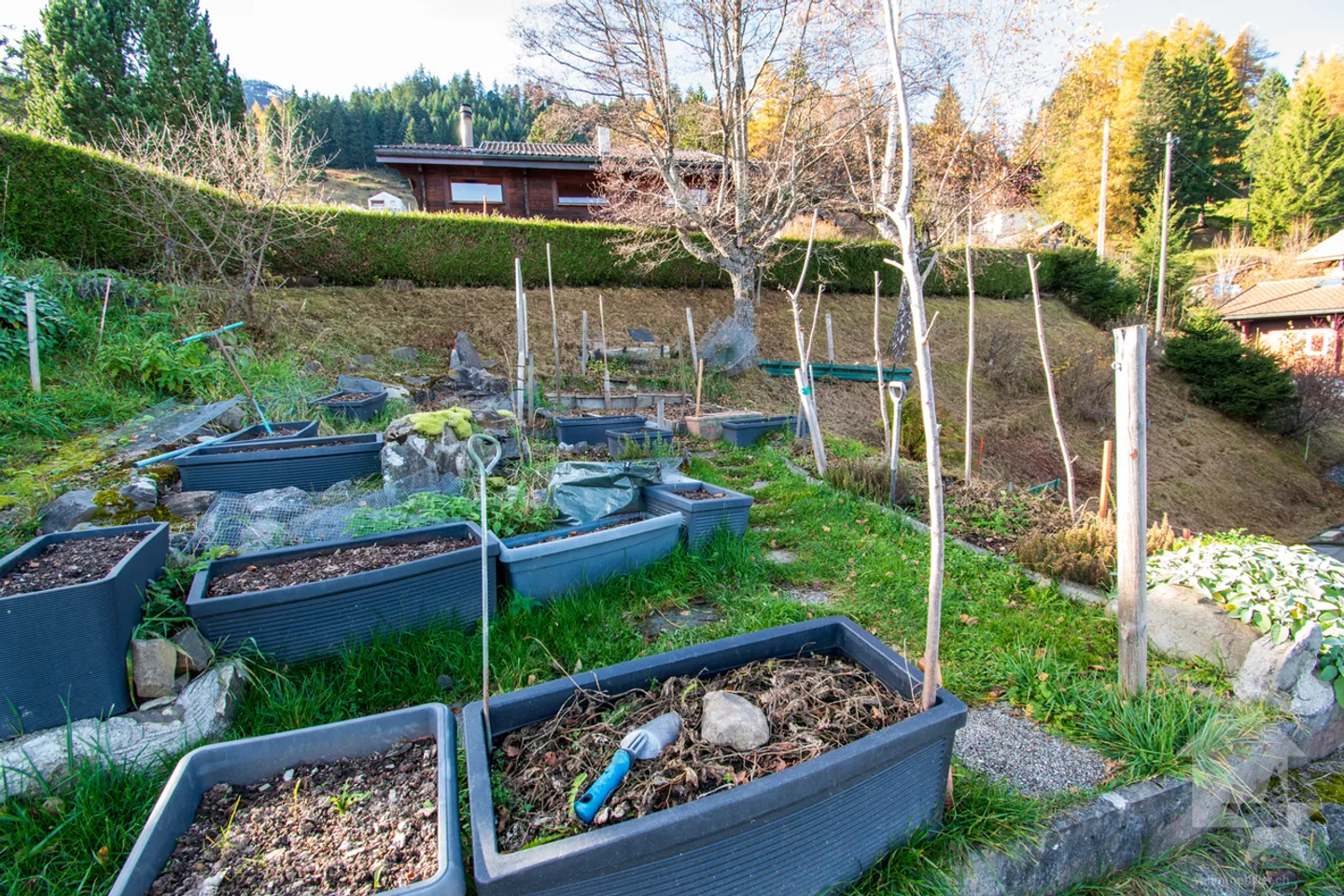 Les Cerniers, 3.5 pièces avec jardin d'hiver - Photo 18 sur 23