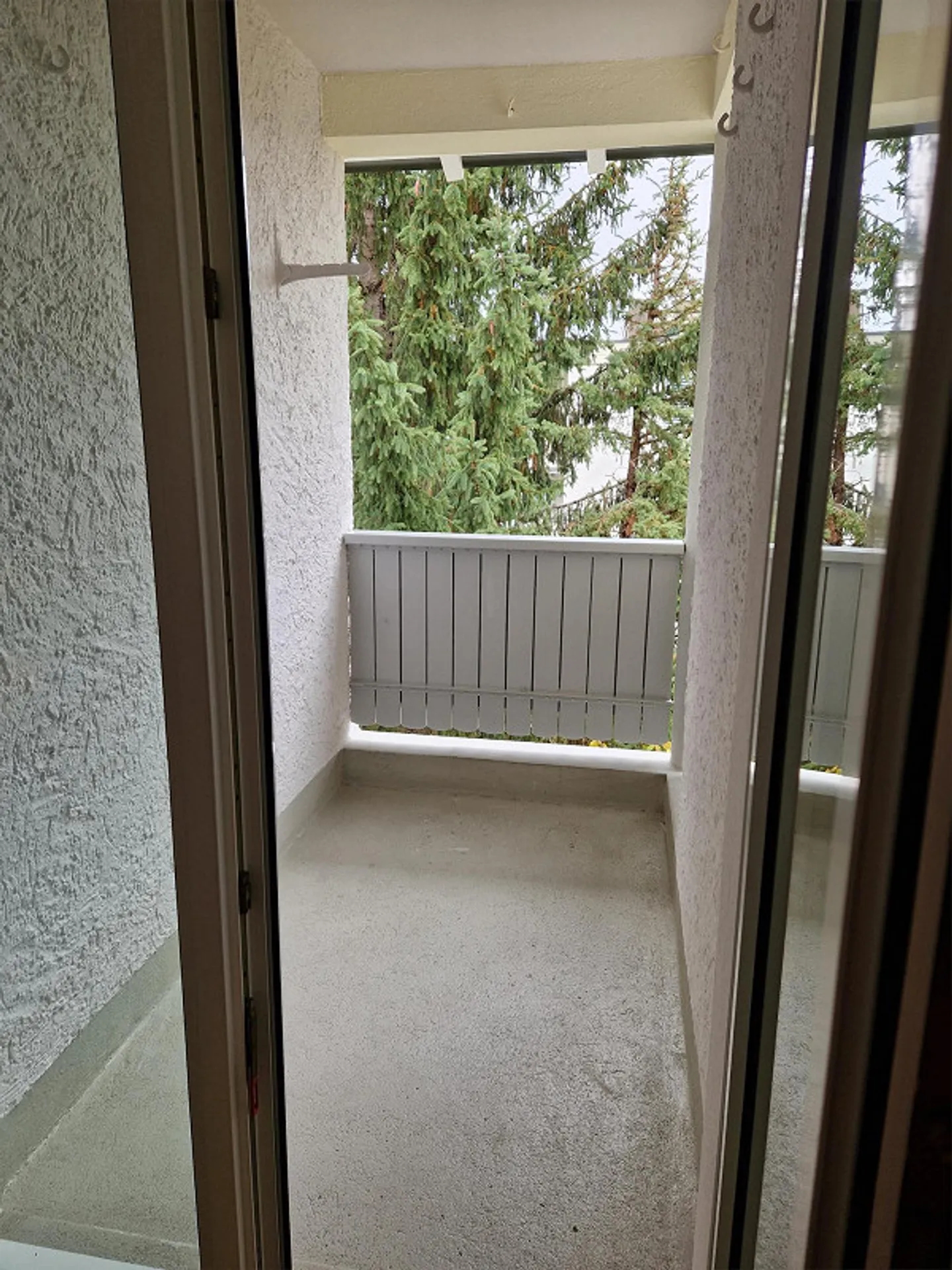 4-Zimmer-Altbau-Wohnung - Foto 11 von 12