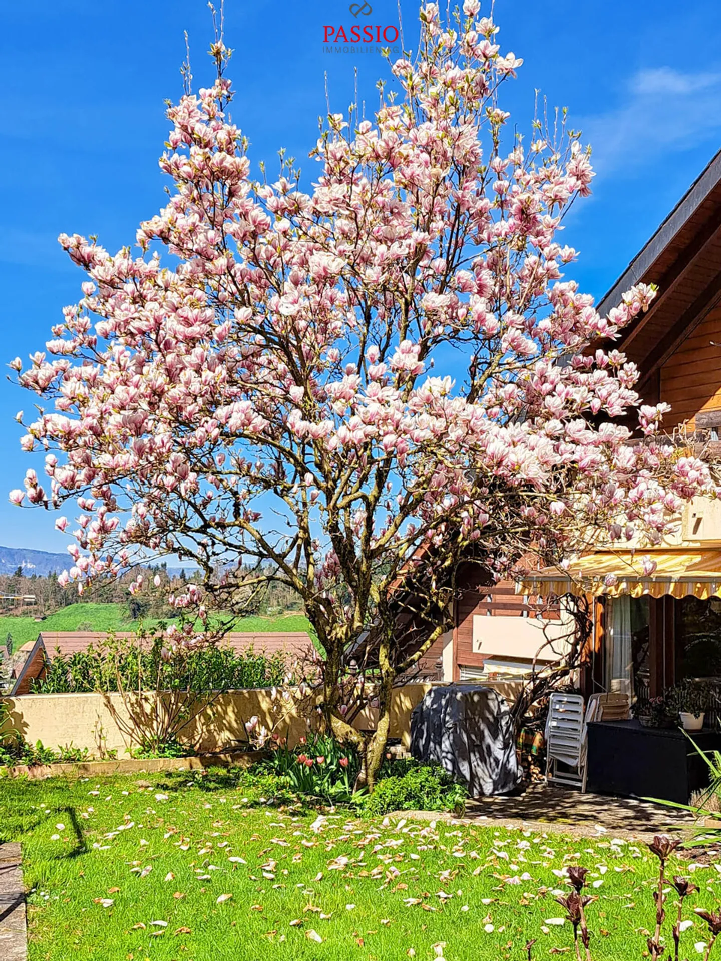 Large 10-Room End Townhouse with Garden Paradise in Prime Location - Photo 3 of 34