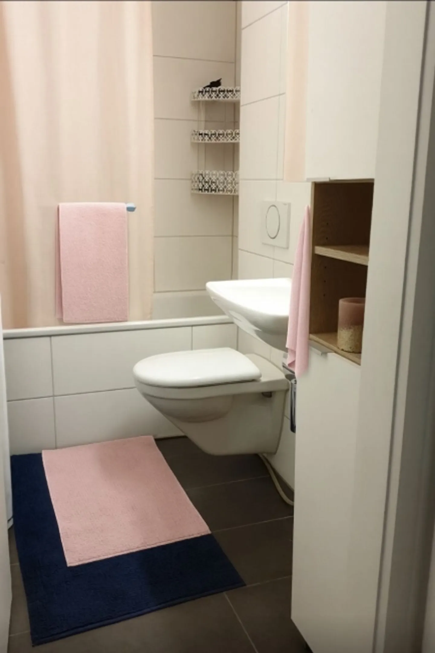 APPARTAMENTO 3½ STANZE A BERN - BREITENRAIN, ARREDATO, TEMPORANEO - Foto 6 di 7