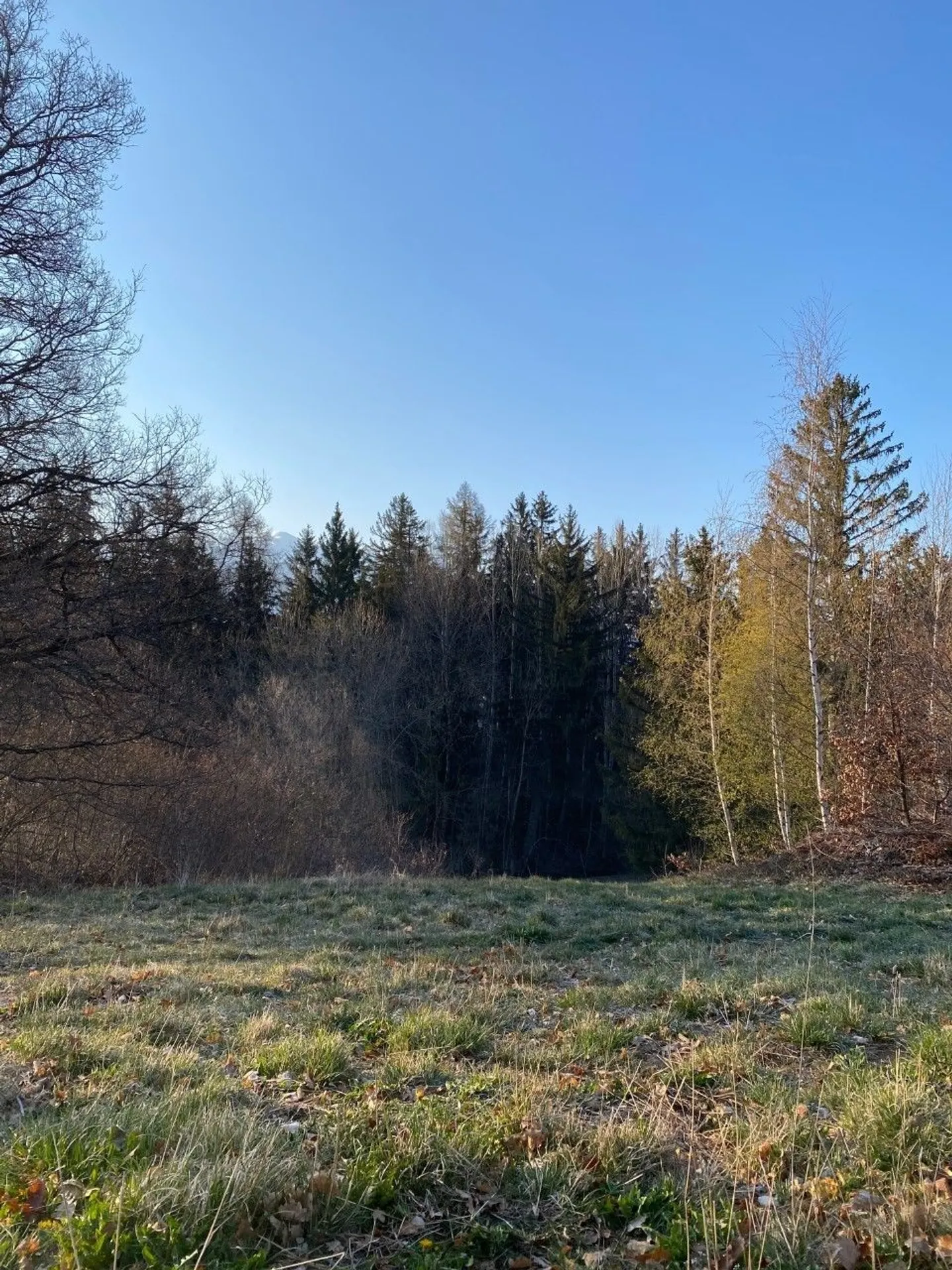 Unique Building Plot in Arbaz - Photo 4 of 4