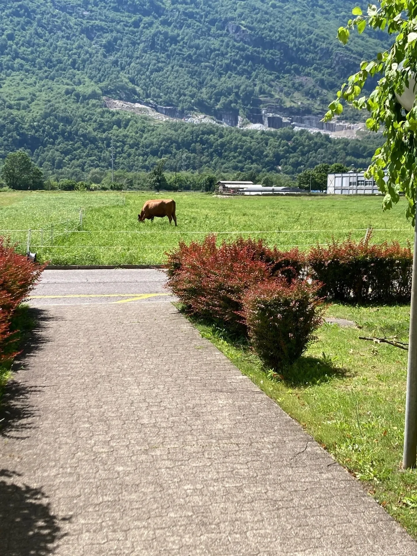 Lumière, espace et tranquillité : vivre dans le vert à Biasca - Photo 9 sur 10