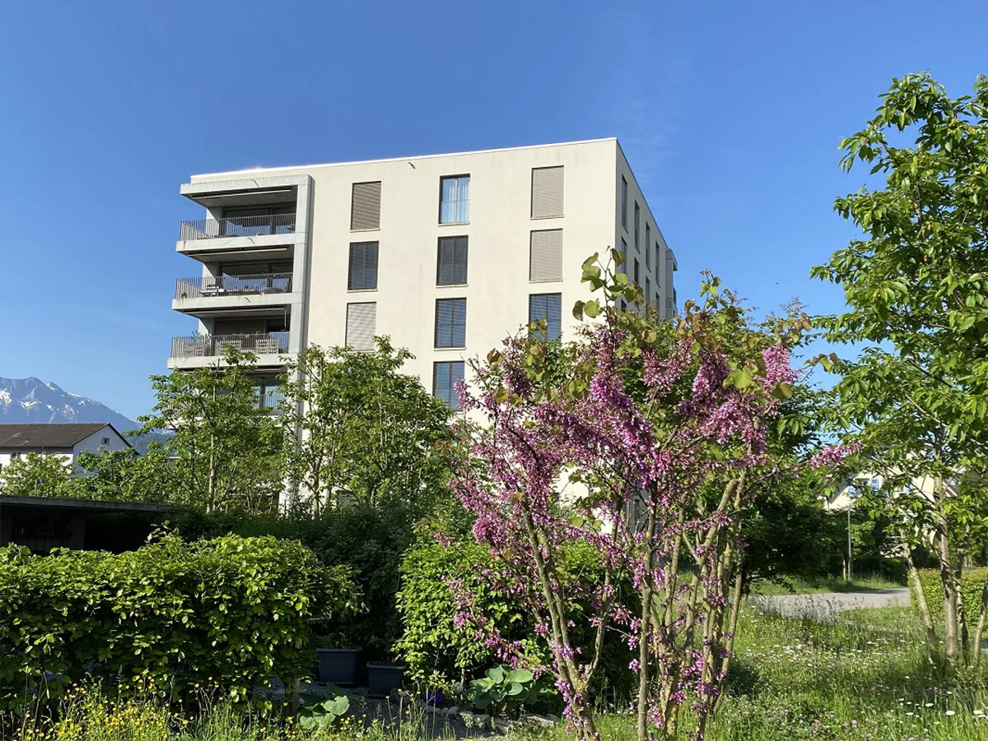 Atmospheric 2.5 room apartment in Meili Park, Feldbreite Emmen - Photo 1 of 10