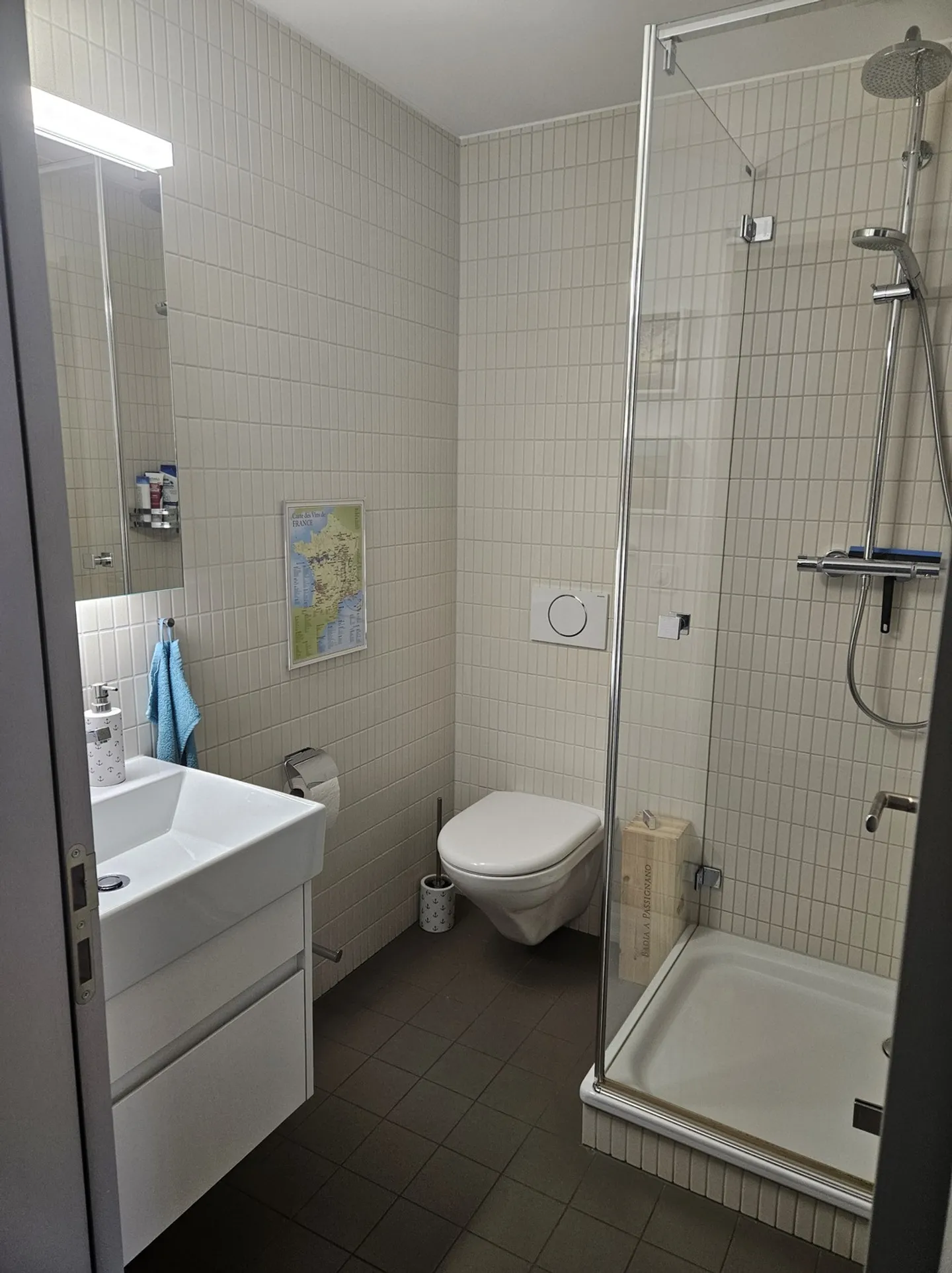 APPARTEMENT 3½ PIÈCES À BERNE - VILLE ANCIENNE, MEUBLÉ, TEMPORAIRE - Photo 7 sur 10