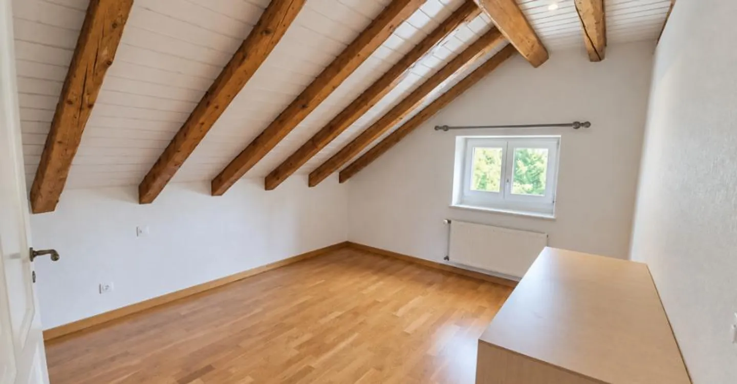 BEAUTIFUL CHARMING 4-ROOM APARTMENT WITH VIEW OF THE SALÈVE - Photo 3 of 4