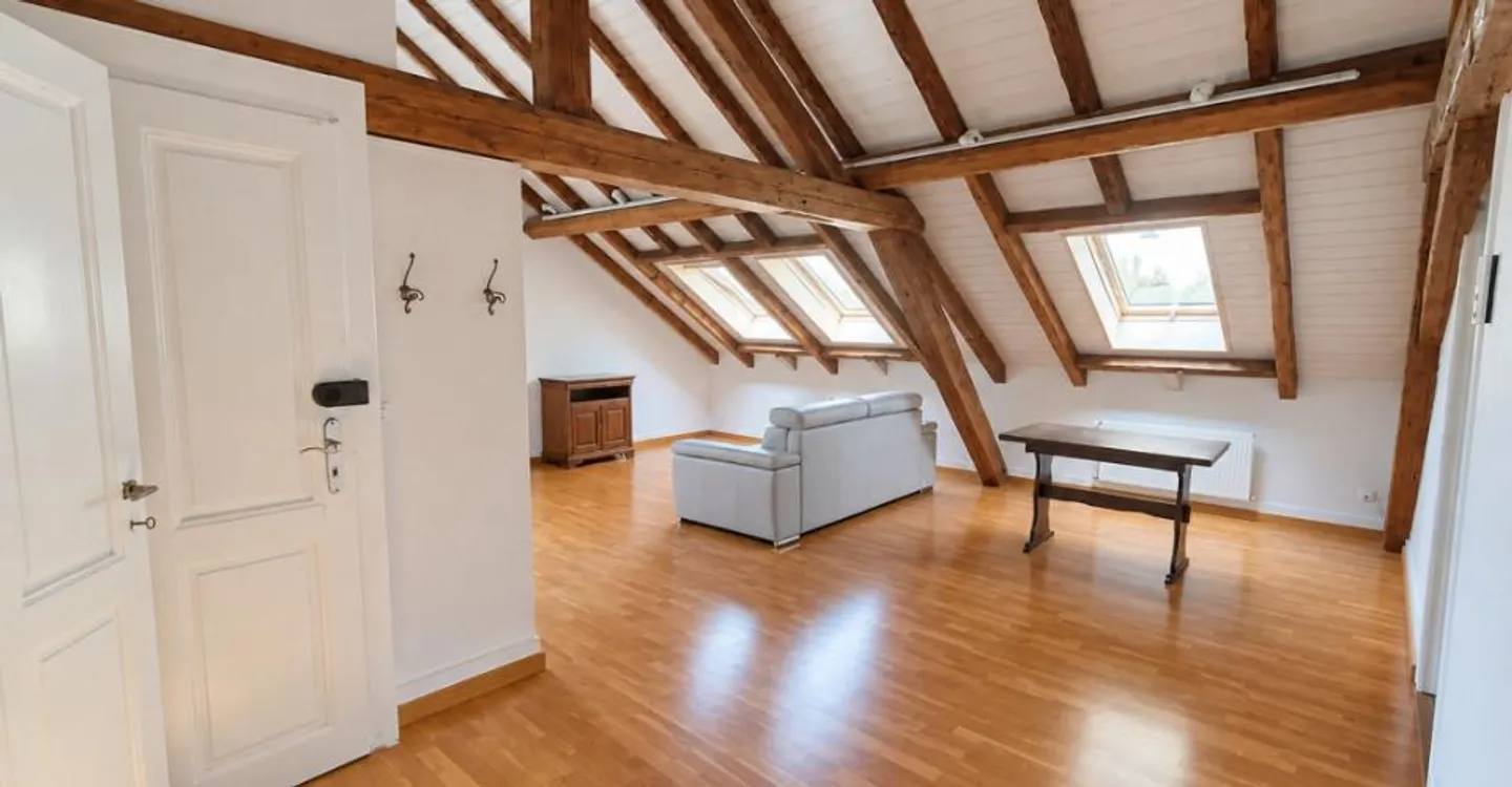 BEAUTIFUL CHARMING 4-ROOM APARTMENT WITH VIEW OF THE SALÈVE - Photo 1 of 4