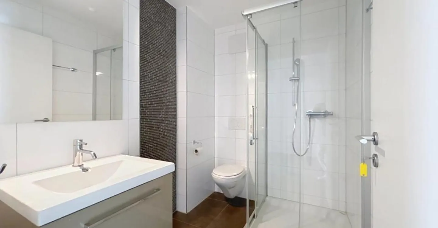 Spacious 5.5-room duplex, just steps from the lake - Photo 5 of 11