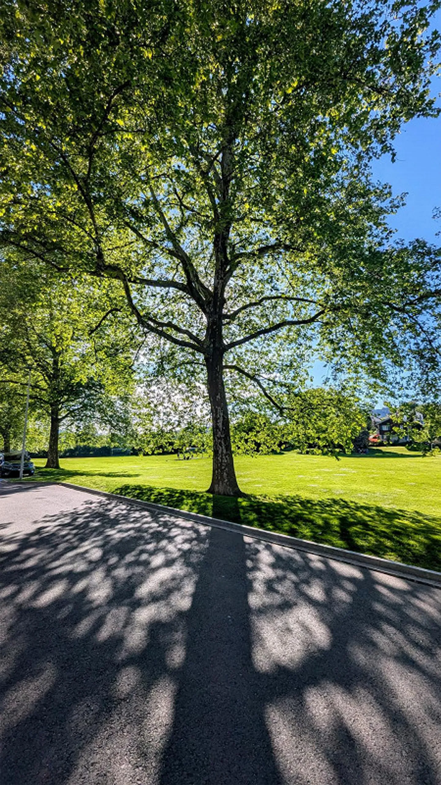 Appartamento perfetto per famiglie vicino a Sömmerliwiese, non lontano dal centro città - Foto 18 di 20