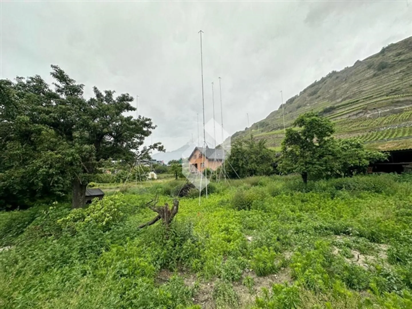 «Portachon aux portes de Sion» - Photo 4 sur 13