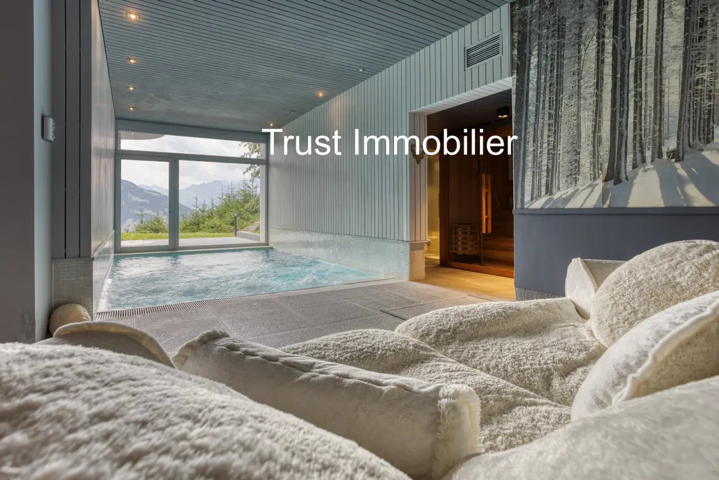6001-MV-Gryon-Luxurious house of 450m2 - Photo 13 of 13