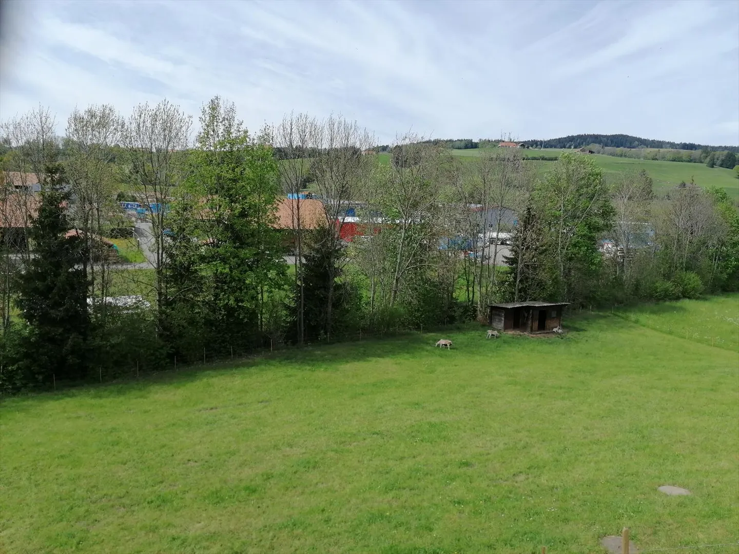Appartamento in affitto - Foto 2 di 11