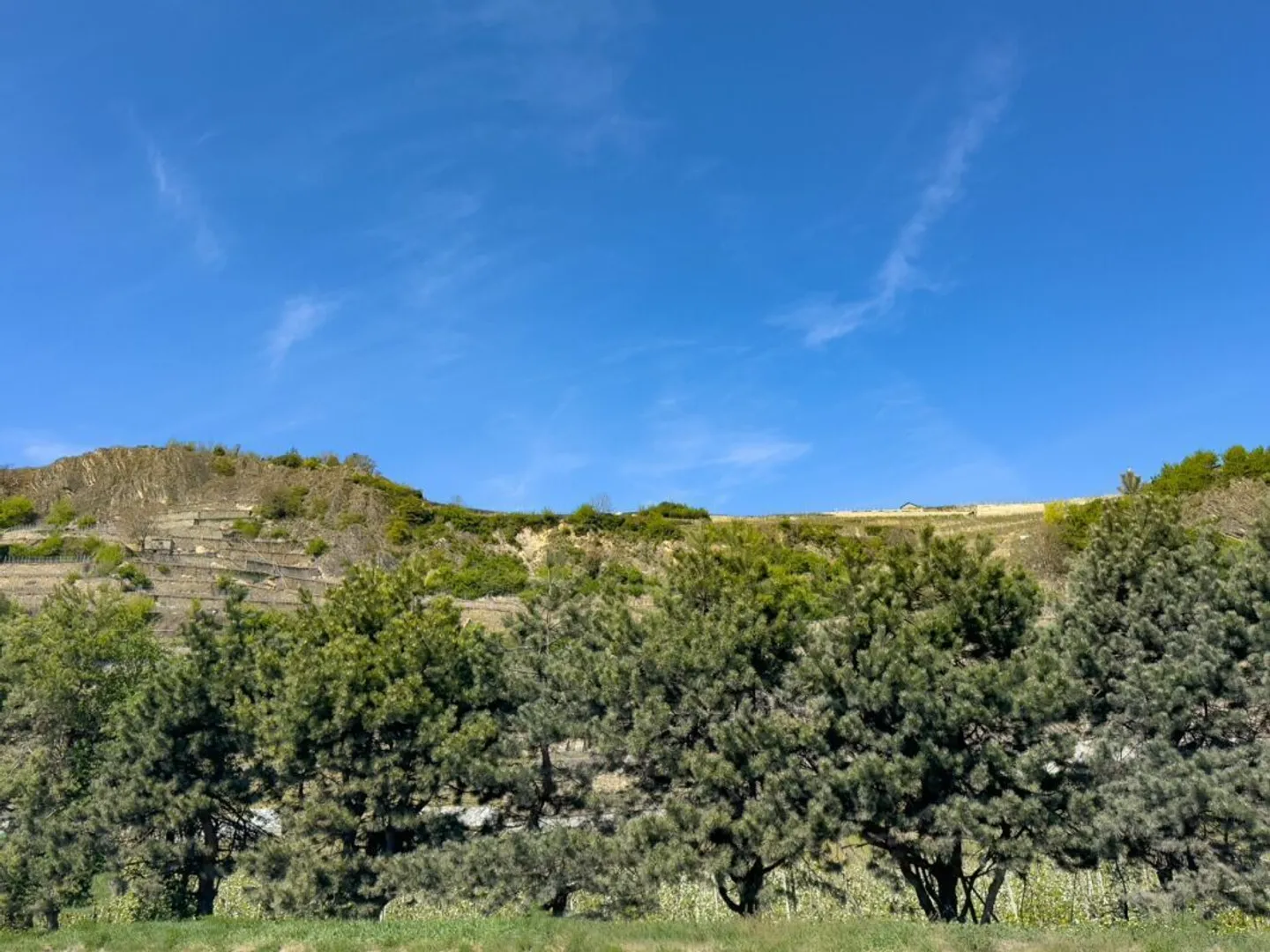 Residenze Alegria – 2.5 stanze in mansarda - Foto 8 di 10