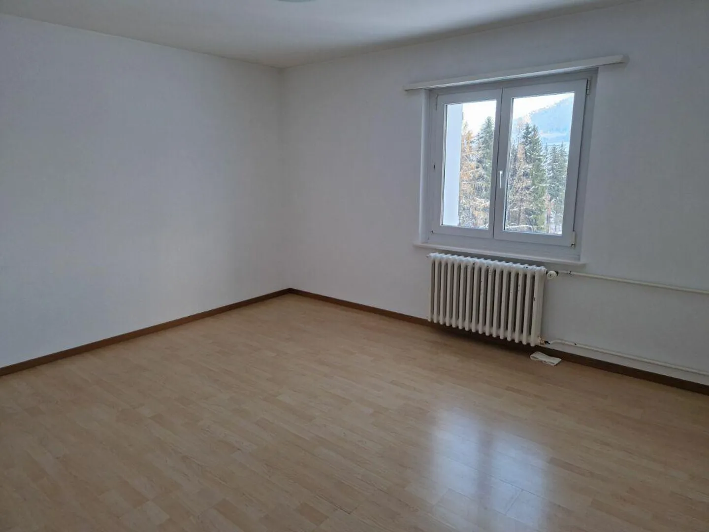 Ihr neues Zuhause mit Blick auf den Säntis! - Foto 5 von 8