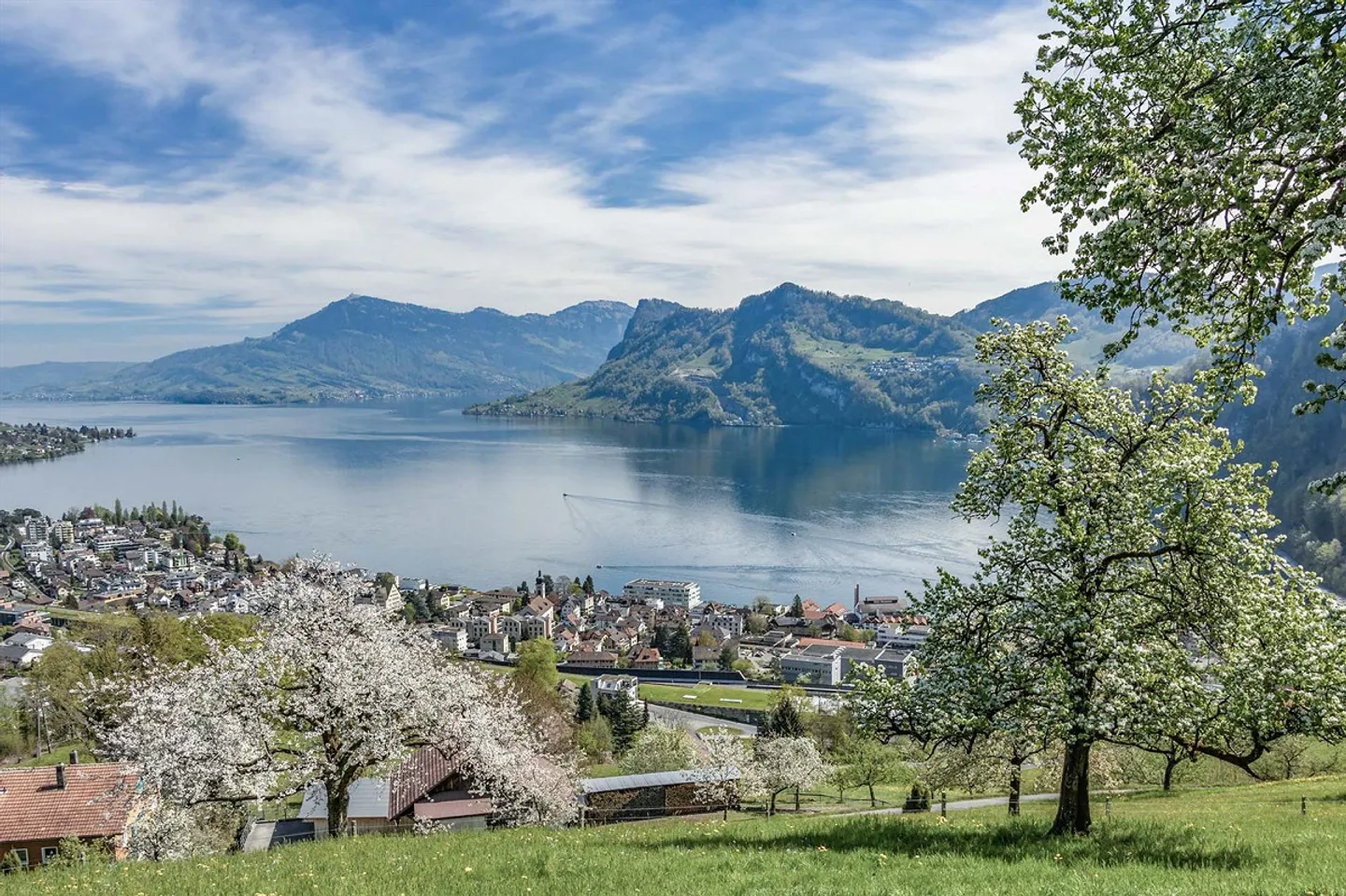 DERNIER APPARTEMENT Projet de nouvelle construction avec vue sur le lac à Hergiswil - Photo 5 sur 7