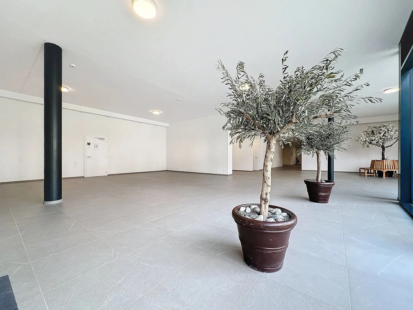 In affitto presso il Centro Medico Les Sources a Saxon, spazio commerciale semi-arredato di circa 190m2 - Foto 3 di 5