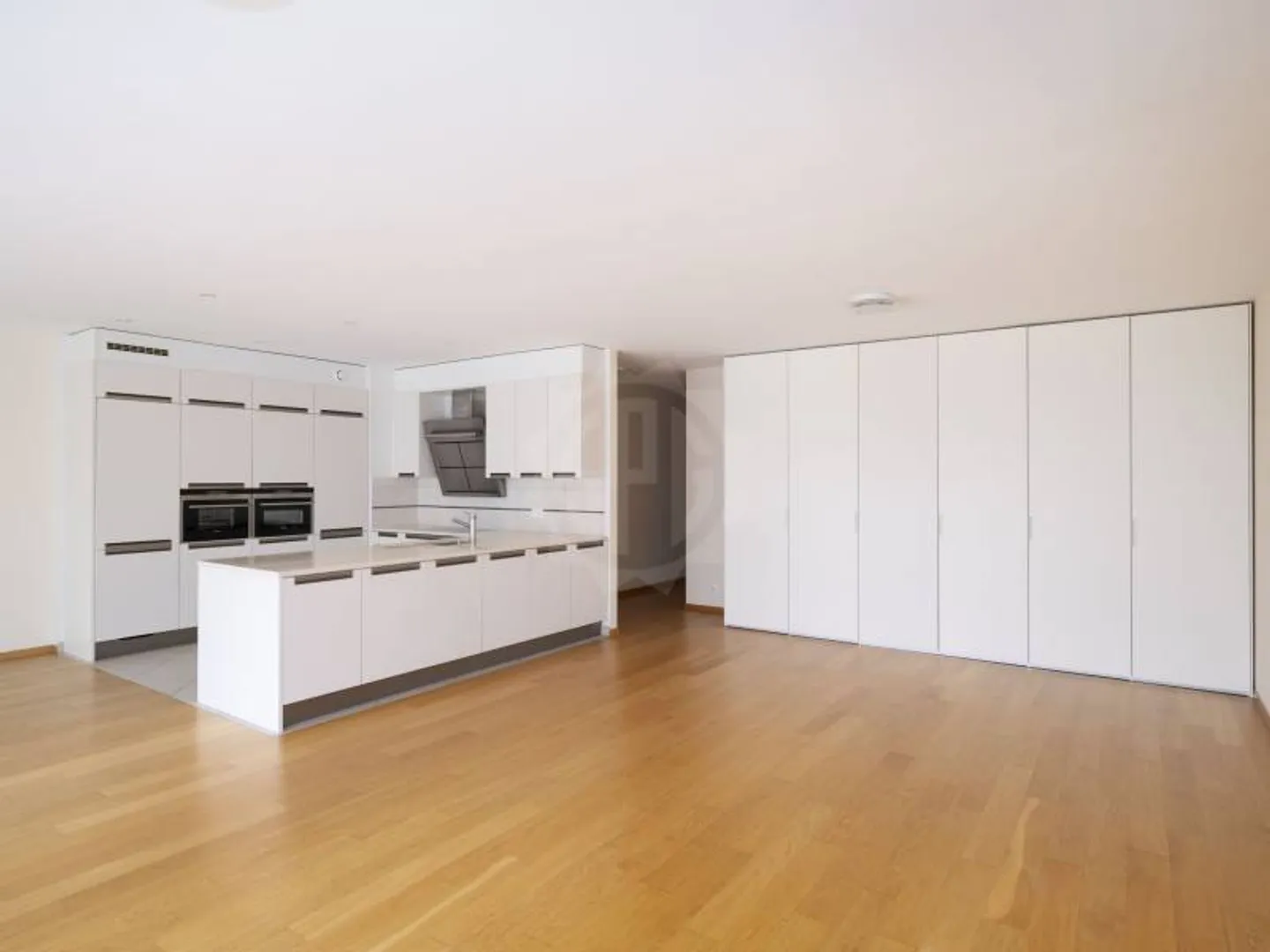 Appartamento Magnifico - Carouge GE - Foto 3 di 12