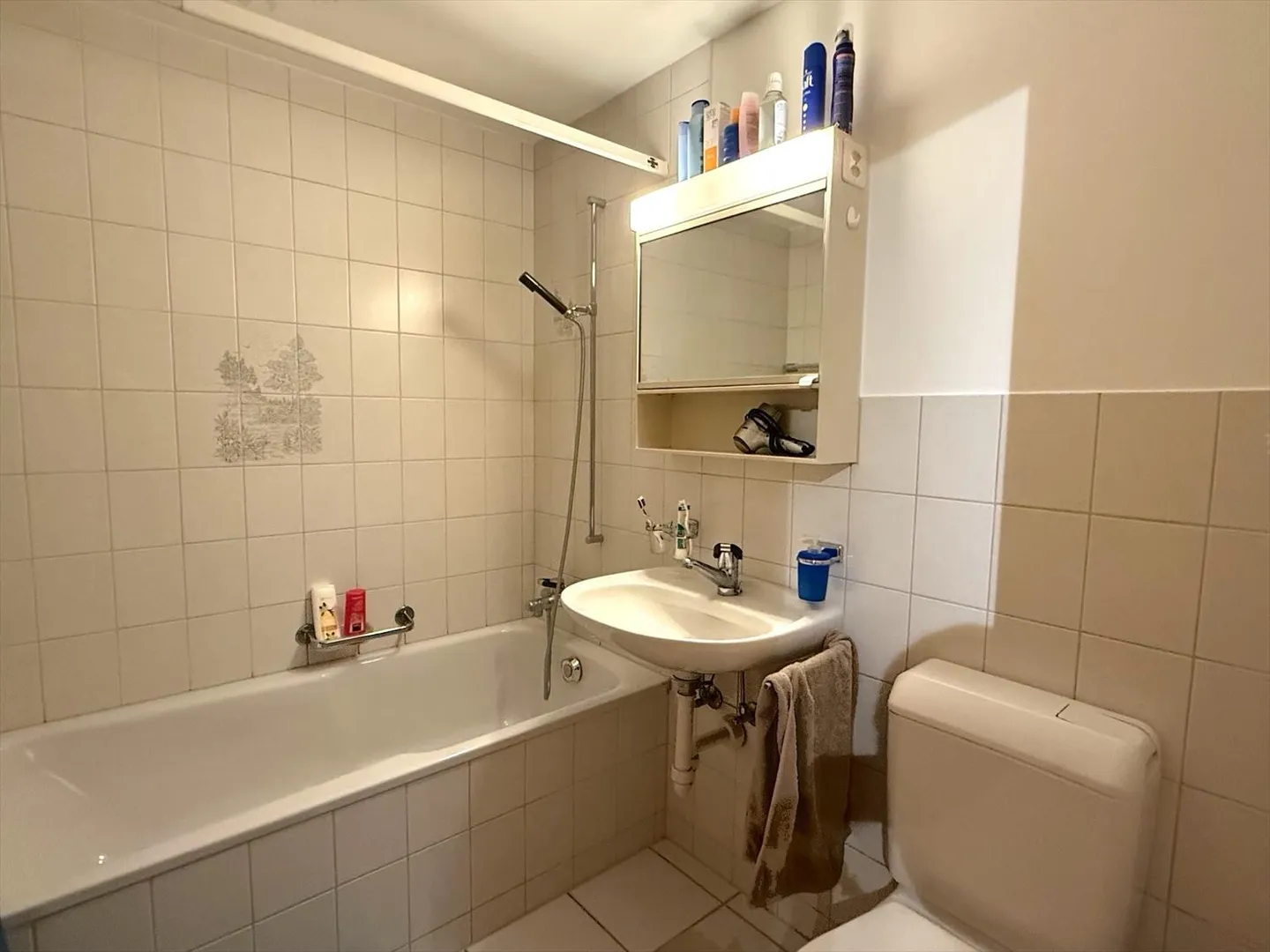 Appartement confortable de 1,5 pièce à Hallau - Photo 9 sur 10