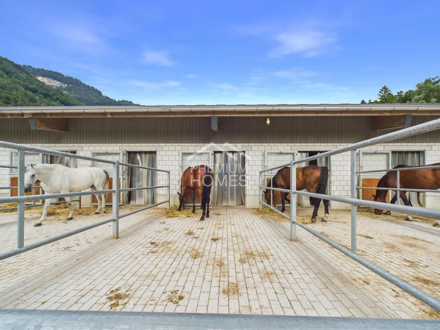 Professional Equestrian Facility with 24 Stalls, Riding Arena, and Residential House! - Photo 10 of 13