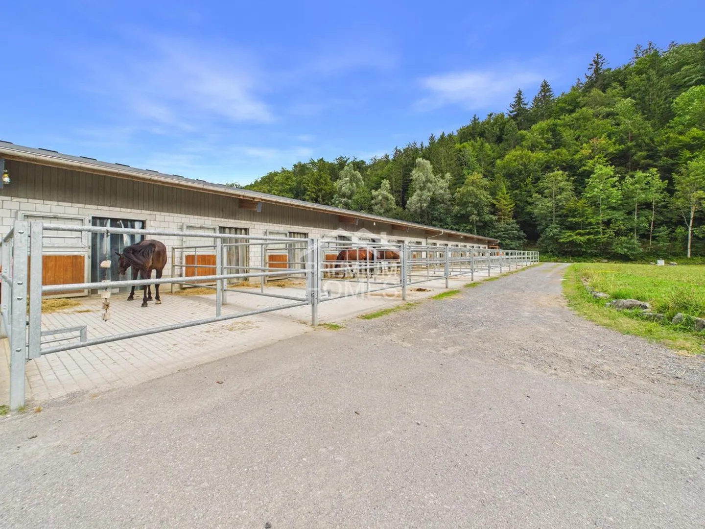 Professional Equestrian Facility with 24 Stalls, Riding Arena, and Residential House! - Photo 8 of 13