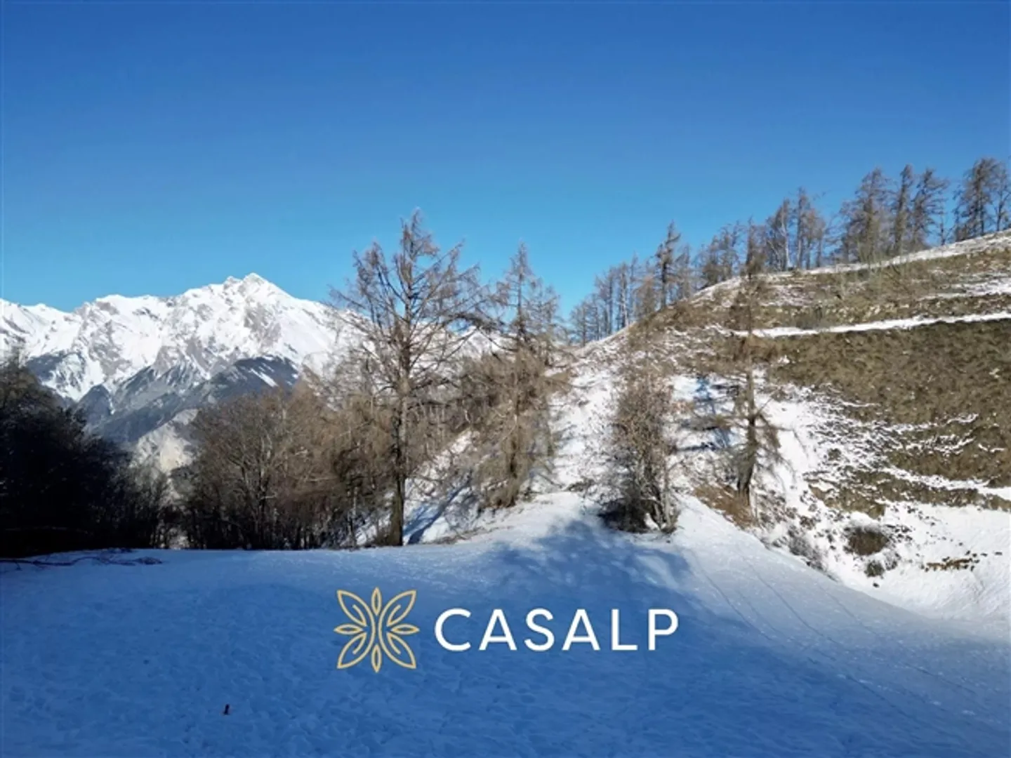 Field in the Center of Haute-Nendaz - Chaedoz - Photo 4 of 9