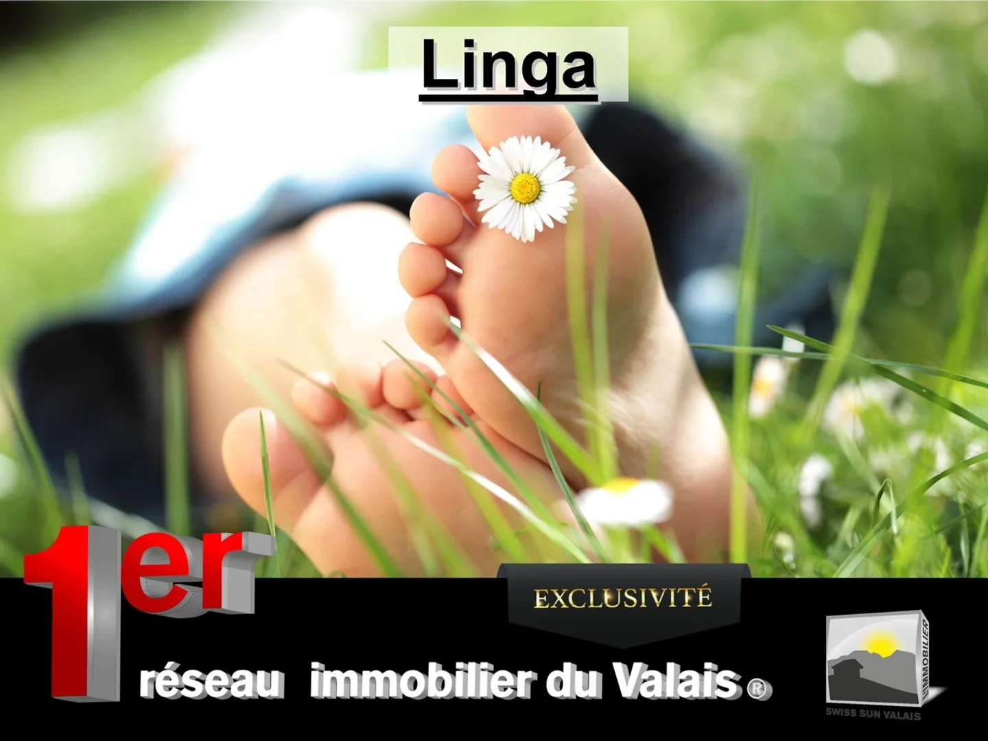 SIERRE/ Je suis "LINGA": Terrain à bâtir dans un quartier de villas de plus de 700 m² à vendre au Valais - Photo 1 sur 2