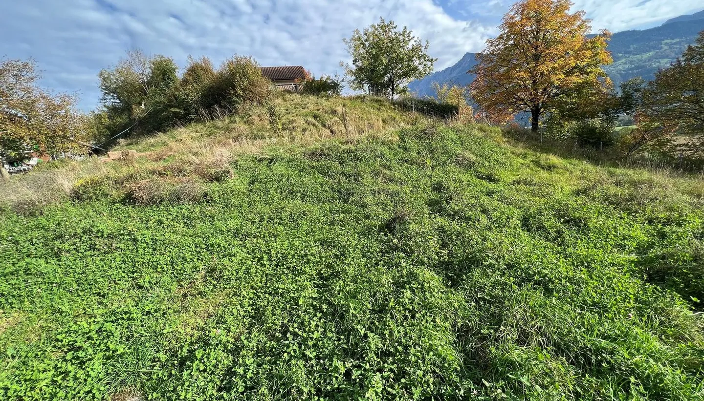 Exclusive plot in idyllic location - Switzerland, Sevelen Im Välsli - Photo 1 of 7