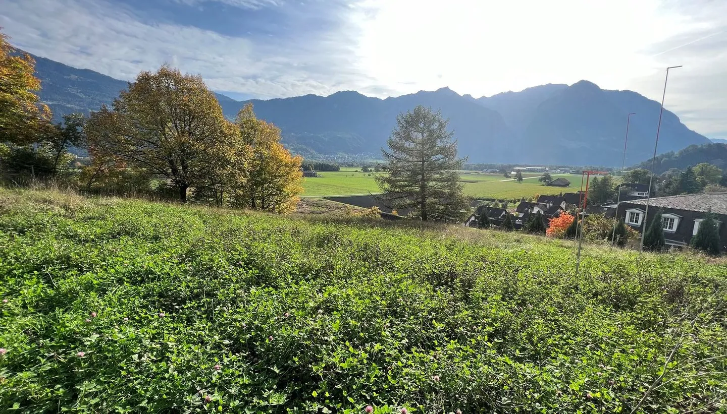 Exclusive plot in idyllic location - Switzerland, Sevelen Im Välsli - Photo 5 of 7