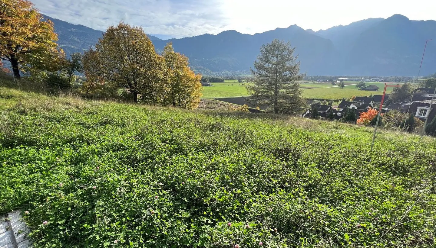 Exclusive plot in idyllic location - Switzerland, Sevelen Im Välsli - Photo 3 of 7