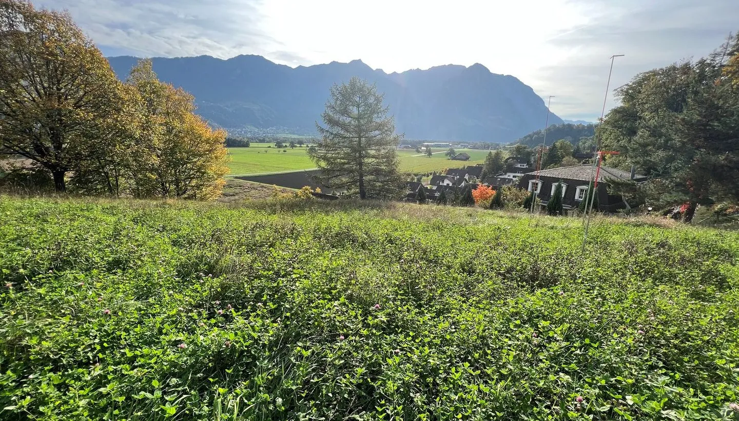 Exclusive plot in idyllic location - Switzerland, Sevelen Im Välsli - Photo 4 of 7