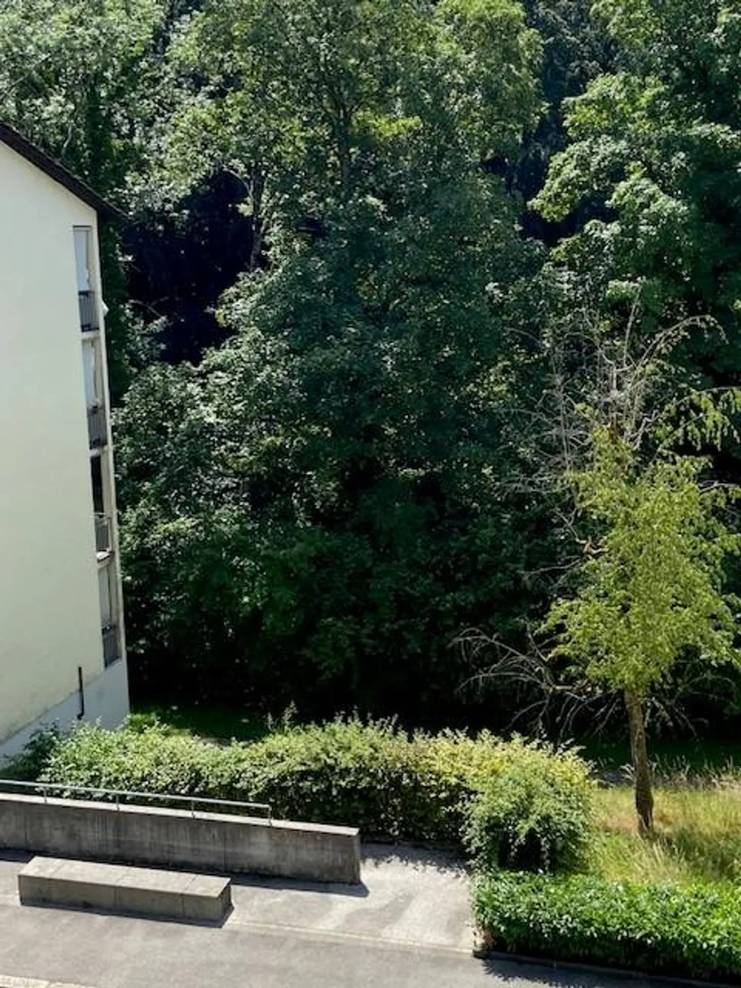 Appartement Charmant à Montchoisi - Photo 1 sur 7