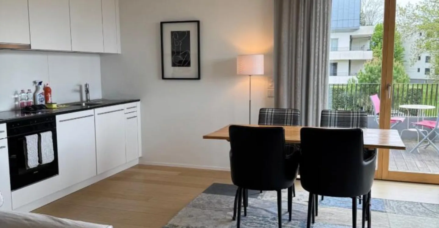 Modern Apartment with Terrace - Photo 3 of 11